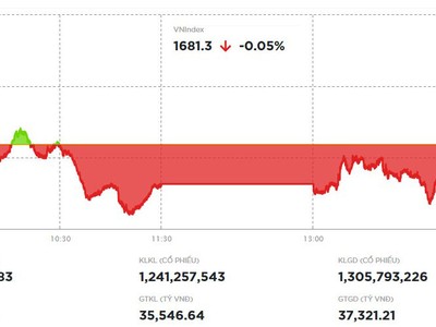 Nhiều cổ phiếu bất động sản nhỏ và vừa nổi sóng 
