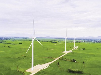 Nhiều nhà đầu tư vẫn đang quan tâm tới điện gió.