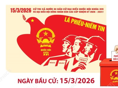 Bầu cử Quốc hội khóa XVI và HĐND các cấp: Các tổ chức phụ trách bầu cử được thành lập theo đúng quy định