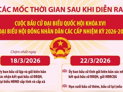Bầu cử Quốc hội và HĐND: Các mốc thời gian sau khi diễn ra cuộc bầu cử