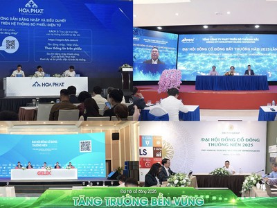 Giải pháp EzGSM đã được kiểm chứng tại nhiều doanh nghiệp có quy mô hàng chục nghìn, hàng trăm nghìn cổ đông như Hòa Phát, Kinh Bắc, Gelex, PAN...