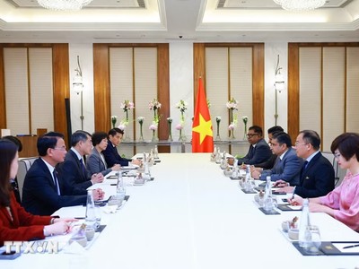Thủ tướng Lê Minh Hưng tiếp ông Sanjay Dhawan, Phó Chủ tịch Tập đoàn ACME của Ấn Độ. (Ảnh: Dương Giang/TTXVN)