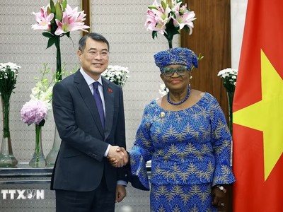 Thủ tướng Chính phủ Lê Minh Hưng tiếp bà Ngozi Okonjo-Iweala, Tổng Giám đốc Tổ chức Thương mại Thế giới (WTO). (Ảnh: Dương Giang/TTXVN)