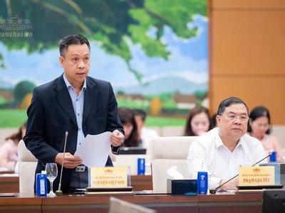 Thứ trưởng Bộ Công thương Nguyễn Việt Sơn trình bày tờ trình - Ảnh: QH.