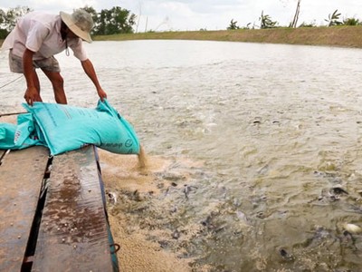 Các doanh nghiệp đã phải “lại quả” cho các bị can số tiền từ 5-25 triệu đồng/sản phẩm (ảnh minh họa)