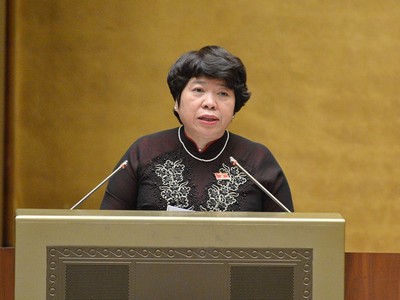 Bà Nguyễn Thúy Anh báo cáo trước Quốc hội.