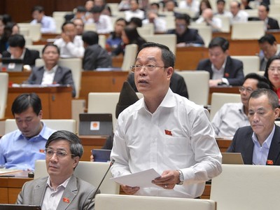 Đại biểu Mai Hồng Hải (Hải Phòng) phát biểu tại nghị trường. 