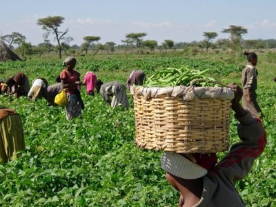 8 nghìn tỷ USD kích thích kinh tế toàn cầu, nước kém phát triển chỉ chiếm... số lẻ