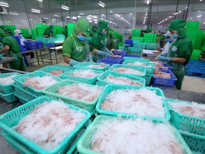 Đầu tư và Phát triển Đa Quốc gia (IDI): Ngấm đòn do Covid-19, lợi nhuận 6 tháng giảm 82,1%