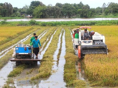 Lộc Trời (LTG) đặt kế hoạch lợi nhuận năm 2021 tăng 8,5% lên 400 tỷ đồng