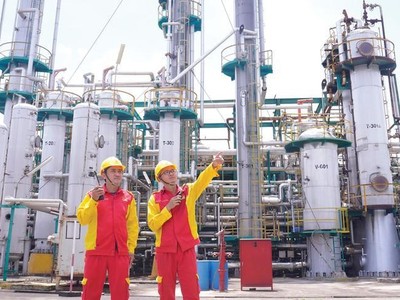 Nam Sông Hậu (PSH) giải thể công ty con ở Đồng Tháp do kinh doanh không hiệu quả