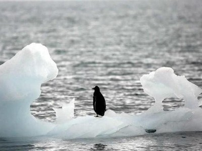 Cảnh báo của Liên hợp quốc về biến đổi khí hậu