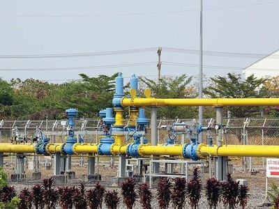 Phân phối khí thấp áp Dầu khí Việt Nam (PGD) lên kế hoạch trả cổ tức năm 2020 với tỷ lệ 20%