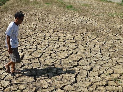 Thế giới đối mặt với nguy cơ thiếu lương thực ngày càng tăng do biến đổi khí hậu