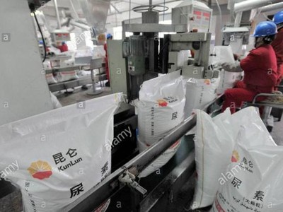 Tình trạng thiếu phân đạm có nguy cơ làm cắt giảm năng suất cây trồng toàn cầu