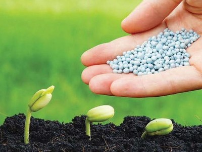 Tình trạng thiếu phân bón đang diễn ra ở Bắc Mỹ