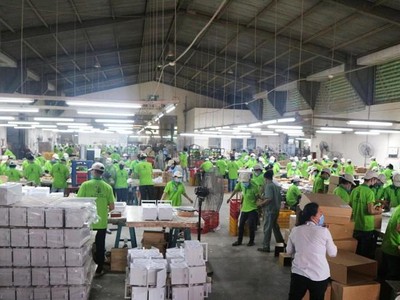 Gỗ Đức Thành (GDT): Chủ tịch HĐQT đăng ký mua 100.000 cổ phiếu