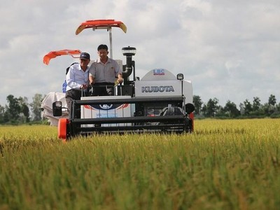 Lộc Trời (LTG): Quý IV/2021, doanh thu giảm 12% về 3.110,1 tỷ đồng