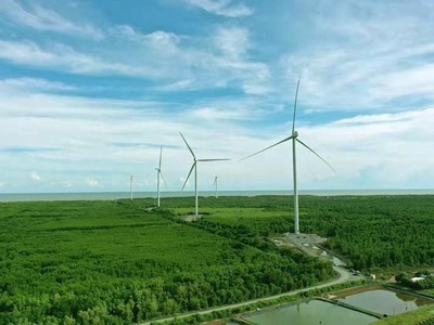 FECON (FCN) bị truy thu, tiền phạt và tiền chậm nộp thuế 1,06 tỷ đồng