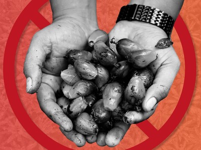 Chủ nghĩa bảo hộ lương thực thúc đẩy lạm phát toàn cầu và nạn đói