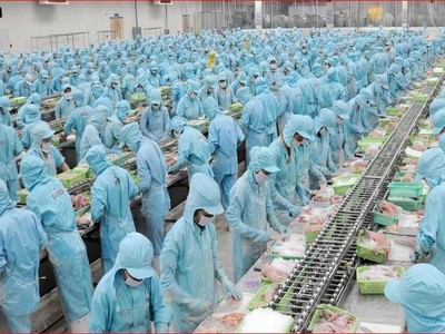 Đầu tư và Phát triển Đa quốc gia I.D.I (IDI): HOSE nhắc nhở chậm công bố thông tin 