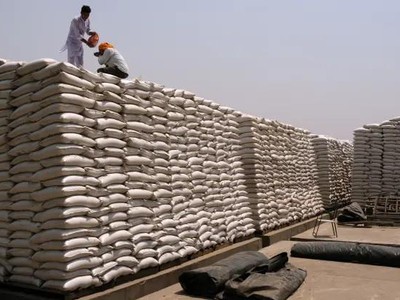 Ấn Độ cấm xuất khẩu lúa mì khi một đợt nắng nóng làm giảm sản lượng