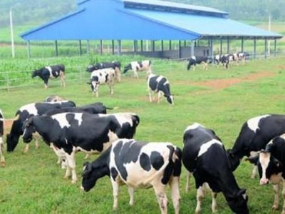 Ngày 31/5, Vilico (VLC) niêm yết bổ sung cổ phiếu hoán đổi với GTNfoods (GTN) 