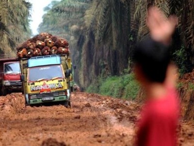 Indonesia khởi động kế hoạch tăng tốc xuất khẩu dầu cọ