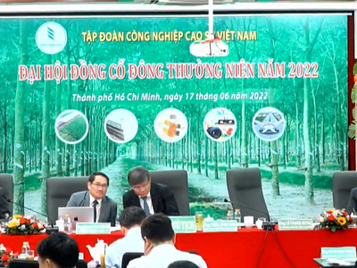 ĐHCĐ Tập đoàn Công nghiệp Cao su Việt Nam (GVR): Cổ đông thắc mắc về việc hạ tỷ lệ cổ tức