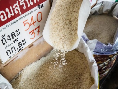 Tình trạng dư thừa gạo xuất hiện, trái ngược với lúa mì và ngô