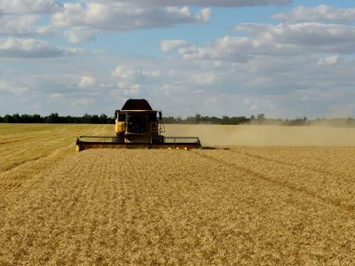 Giá thực phẩm toàn cầu giảm mạnh trong tháng 7, nhưng xu hướng này có thể không kéo dài