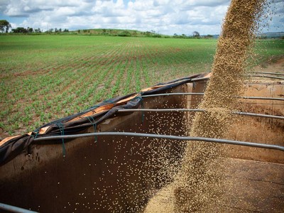 Giá lương thực sụt giảm, nhưng vẫn còn nhiều mối đe dọa phía trước