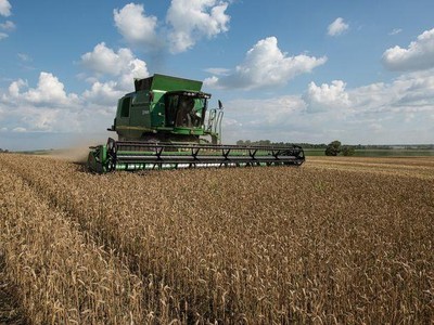 Goldman Sachs: "Kỳ vọng phi lý" đang giữ cho giá hàng hóa thấp một cách không bền vững