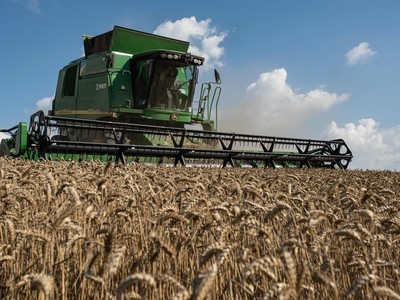 Cuộc khủng hoảng lương thực toàn cầu không phải do thiếu hụt mà là do khả năng chi trả 