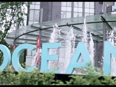 Lỗ trong 6 tháng đầu năm, cổ phiếu Ocean Group (OGC) tiếp tục nằm trong diện cảnh báo