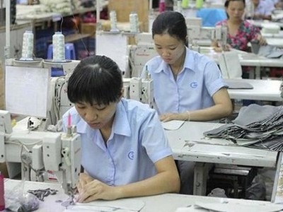 Gilimex (GIL): Cổ đông lớn bán ra khi cổ phiếu đang lao dốc