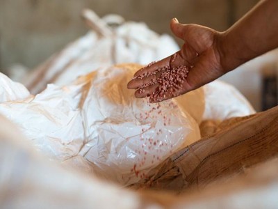 Giá phân bón giảm trở lại khi nông dân từ chối mua ở mức giá cao