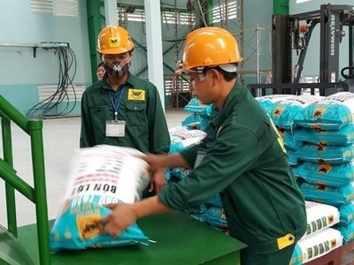 Phân bón Bình Điền (BFC) tạm ứng cổ tức tiền mặt với tỷ lệ 6%