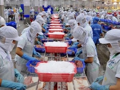 Cổ phiếu Nam Việt (ANV) “bốc hơi 73,8%” giá trị nhưng Tổng giám đốc không mua vào cổ phiếu nào trong tổng đăng ký 2 triệu cổ phiếu