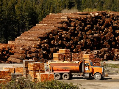 Thị trường gỗ xẻ có thể tiếp tục đối mặt với áp lực giảm giá trong năm 2023