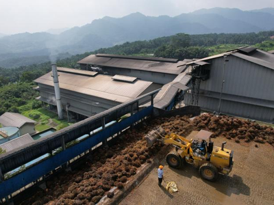 Indonesia đưa các nhà xuất khẩu dầu cọ giao dịch trên các sàn giao dịch địa phương