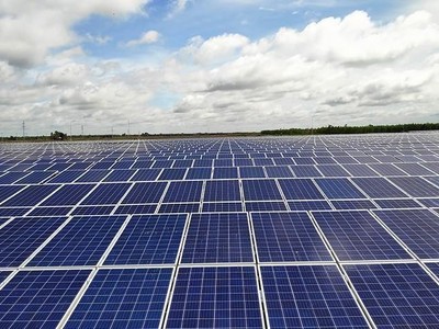 Quý IV/2022, lợi nhuận Trường Thành Group (TTA) tăng 33,8% nhờ hưởng lợi điều kiện thuỷ văn