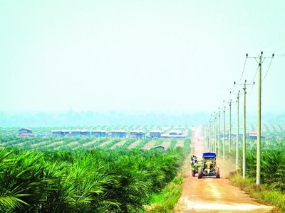 Hoàng Anh Gia Lai (HAG) dự kiến tổ chức Đại hội đồng cổ đông thường niên năm 2023 trong tháng 4