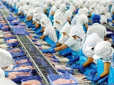 Dấu hiệu tăng trưởng âm, Vĩnh Hoàn (VHC) không tổ chức ĐHĐCĐ thường niên năm 2023 tại Thành phố Hồ Chí Minh