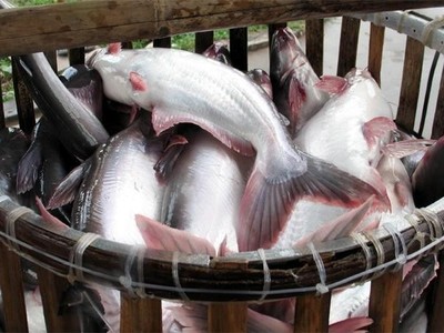 Năm 2023, lợi nhuận Đầu tư và Phát triển Đa Quốc Gia IDI (IDI) dự kiến giảm 66,7%, về 186 tỷ đồng