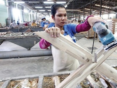 Gỗ Trường Thành (TTF) tiếp tục thoát lỗ quý I/2023 nhờ doanh thu tài chính