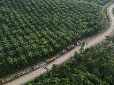 El Nino đang dần gây tác động tiêu cực ở Đông Nam Á