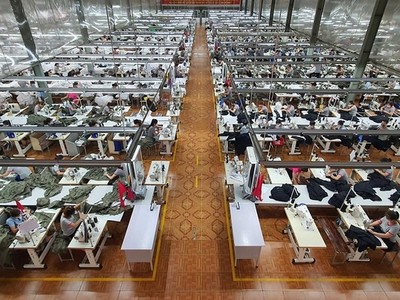 May Sông Hồng (MSH) bị xử phạt và truy thu thuế gần 1,56 tỷ đồng