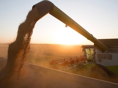 Các nhóm cổ phiếu hưởng lợi nhờ lạm phát lương thực