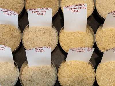 Giá gạo tăng cao làm dấy lên lo ngại lạm phát lương thực ở châu Á